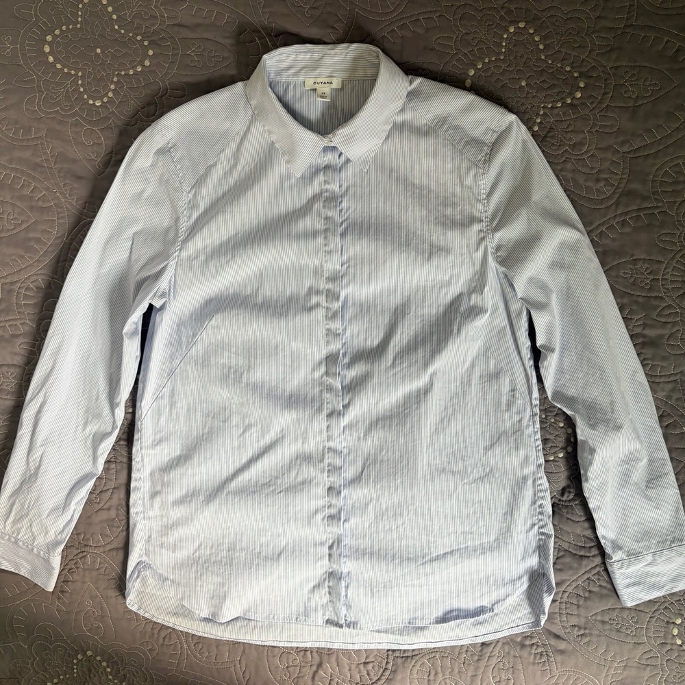 Cuyana Blue Striped Shirt